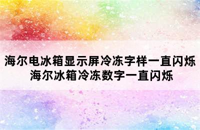 海尔电冰箱显示屏冷冻字样一直闪烁 海尔冰箱冷冻数字一直闪烁